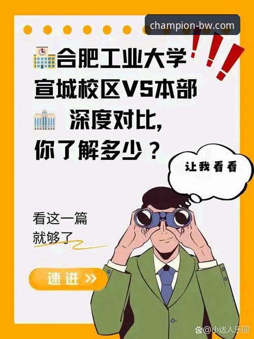 宝威体育平台vs官方入口：安卓版选择指南，v2.0.5版本深度对比分析